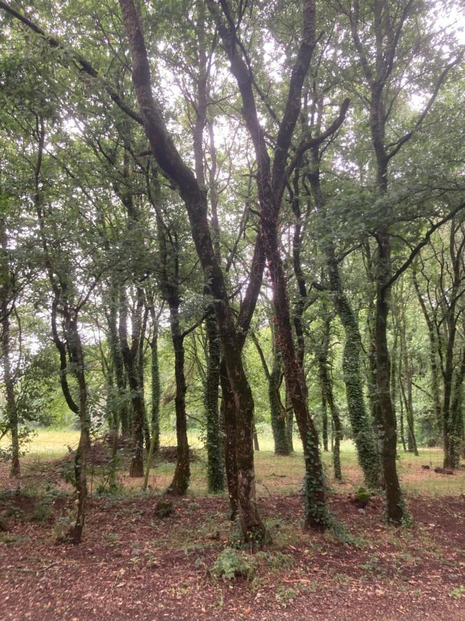 De 3* Sarria